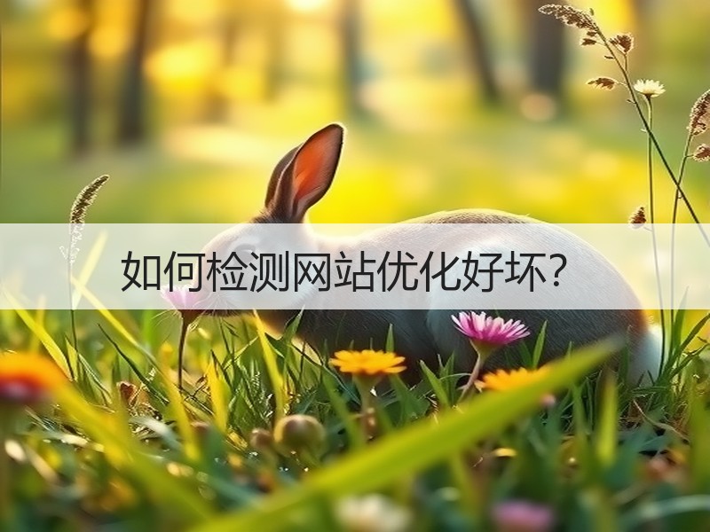 如何检测网站优化好坏？
