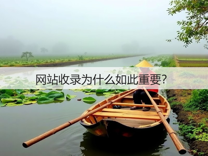 网站收录为什么如此重要?(图2) 网站收录为什么如此重要?(图2)