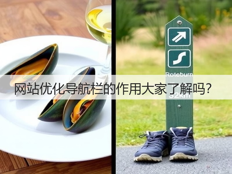 网站优化导航栏的作用大家了解吗？(图3)