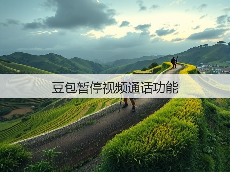豆包暂停视频通话功能(图3)