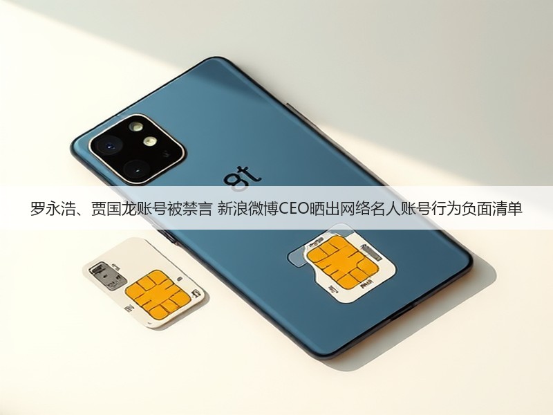 罗永浩、贾国龙账号被禁言 新浪微博CEO晒出网络名人账号行为负面清单(图3)