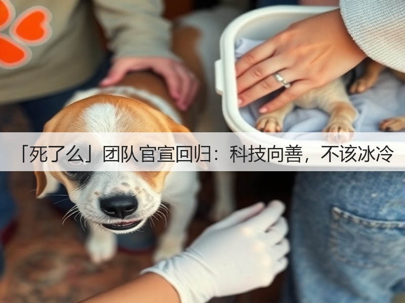 「死了么」团队官宣回归：科技向善，不该冰冷(图3)