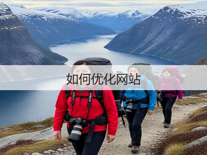 如何优化网站
