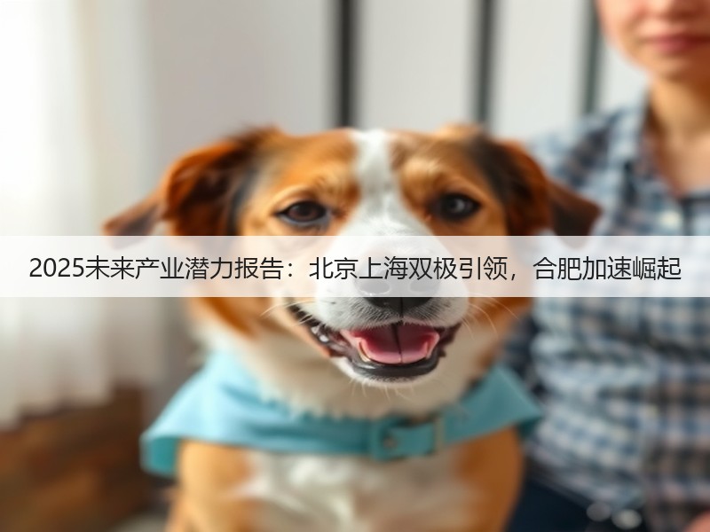 2025未来产业潜力报告:北京上海双极引领,合肥加速崛起(图3) 2025未来产业潜力报告:北京上海双极引领,合肥加速崛起(图3)