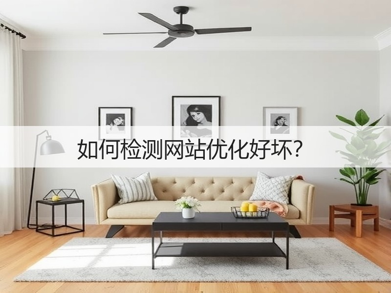 如何检测网站优化好坏?(图2) 如何检测网站优化好坏?(图2)