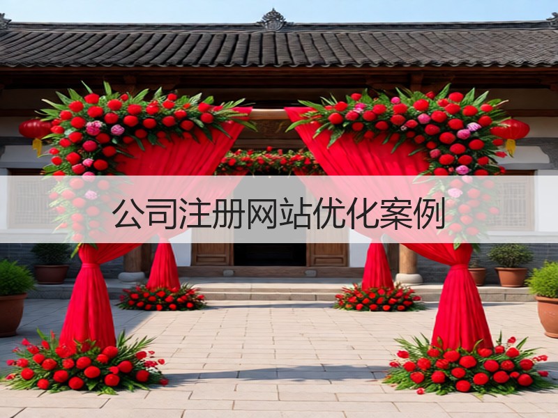 公司注册网站优化案例
