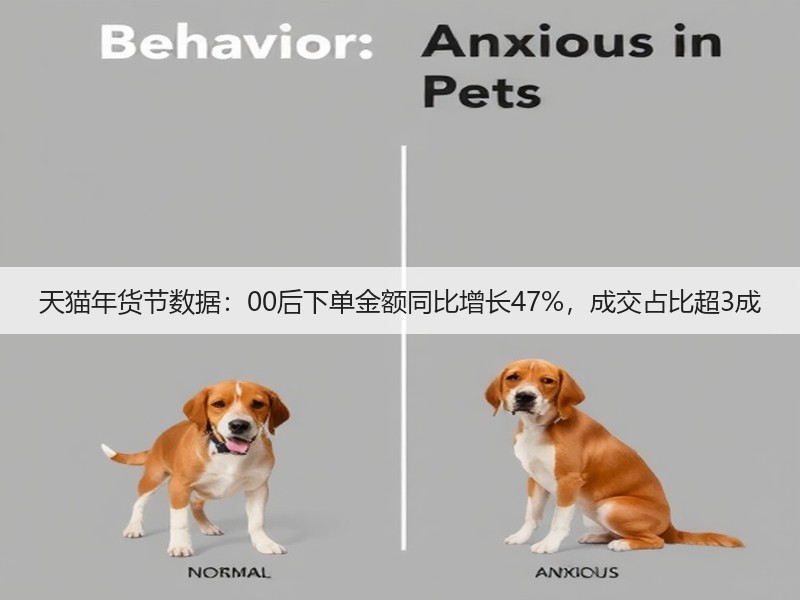 天猫年货节数据：00后下单金额同比增长47%，成交占比超3成(图3)