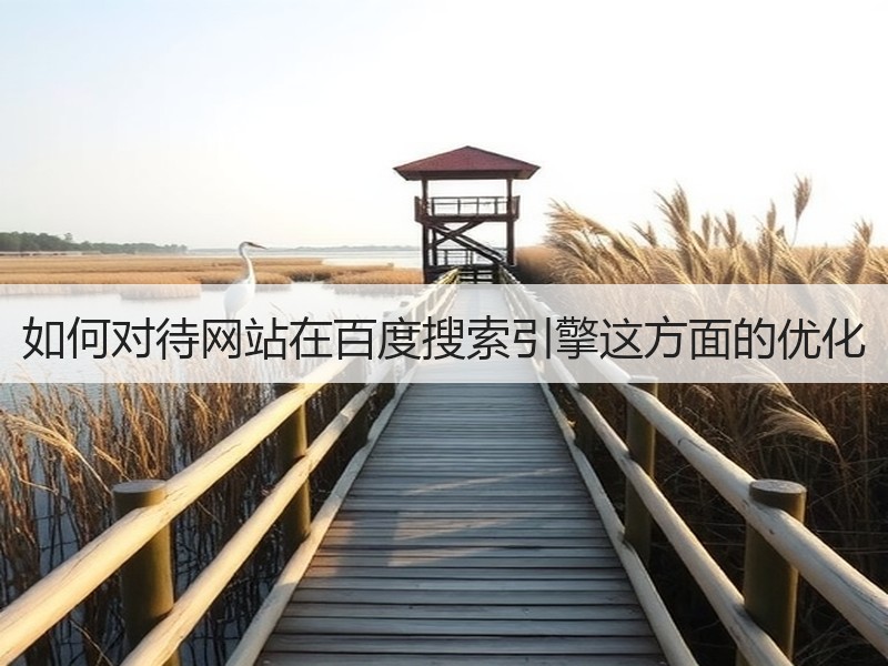 如何对待网站在百度搜索引擎这方面的优化