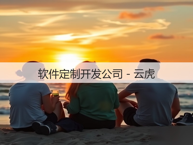 软件定制开发公司 - 云虎(图3)