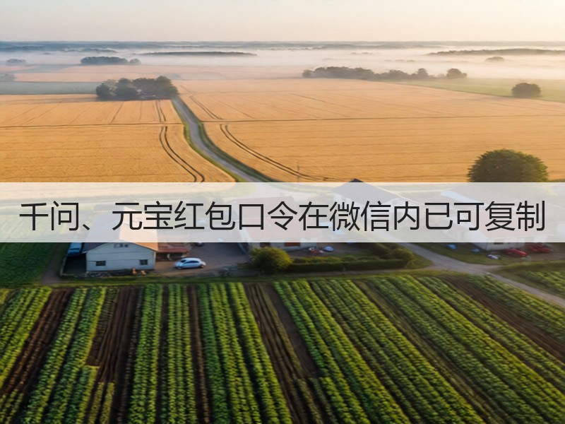 千问、元宝红包口令在微信内已可复制(图2)