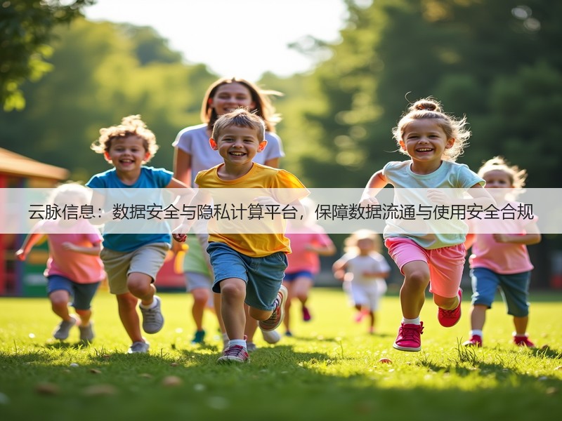 云脉信息:数据安全与隐私计算平台,保障数据流通与使用安全合规(图3) 云脉信息:数据安全与隐私计算平台,保障数据流通与使用安全合规(图3)