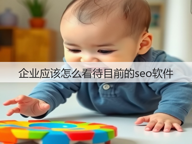 企业应该怎么看待目前的seo软件(图2)