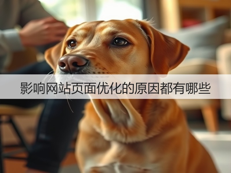 影响网站页面优化的原因都有哪些(图1)