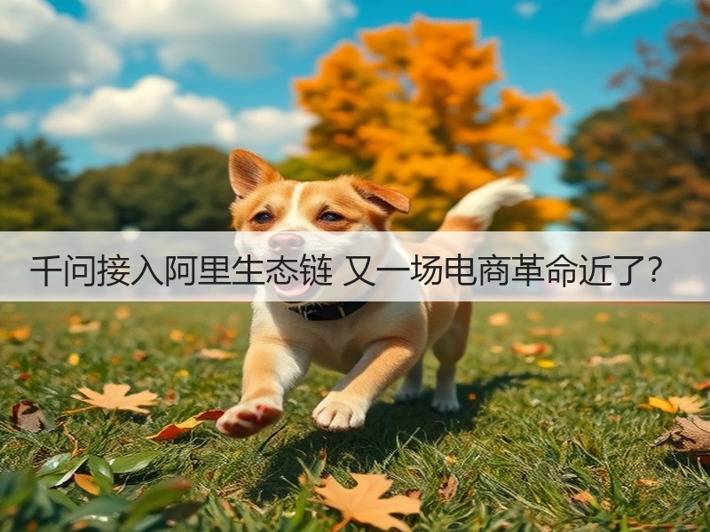 千问接入阿里生态链 又一场电商革命近了?(图3) 千问接入阿里生态链 又一场电商革命近了?(图3)