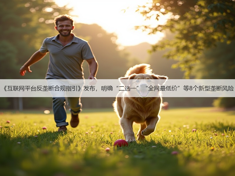 《互联网平台反垄断合规指引》发布，明确“二选一”“全网最低价”等8个新型垄断风险(图3)