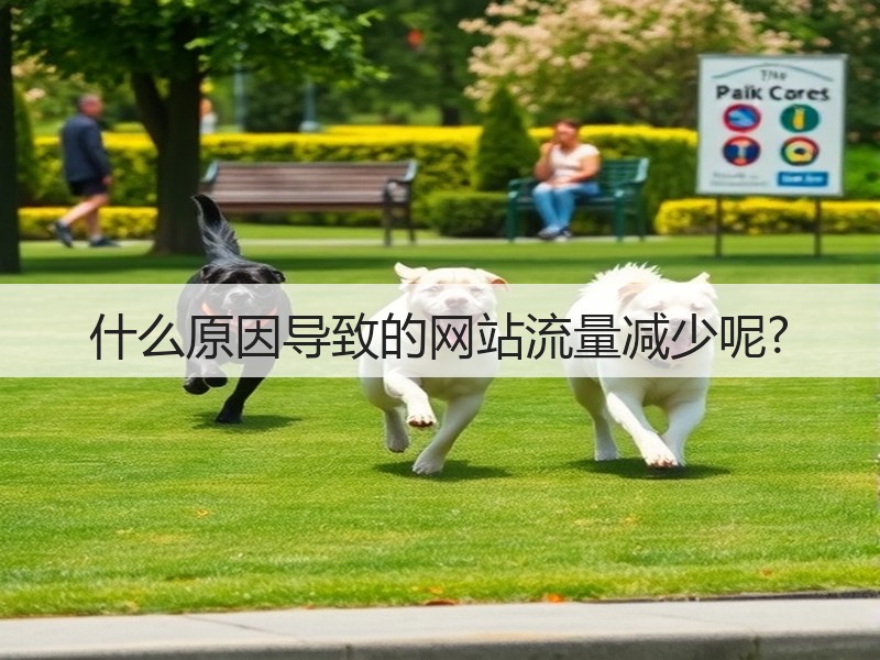 什么原因导致的网站流量减少呢?(图1) 什么原因导致的网站流量减少呢?(图1)