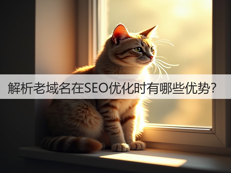 解析老域名在SEO优化时有哪些优势？(图3)