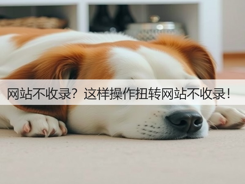 网站不收录？这样操作扭转网站不收录！(图1)