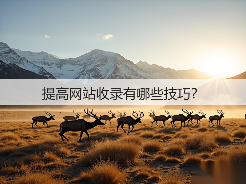 提高网站收录有哪些技巧？(图2)
