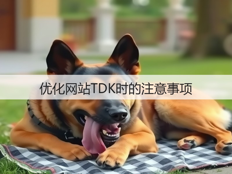 优化网站TDK时的注意事项(图3)