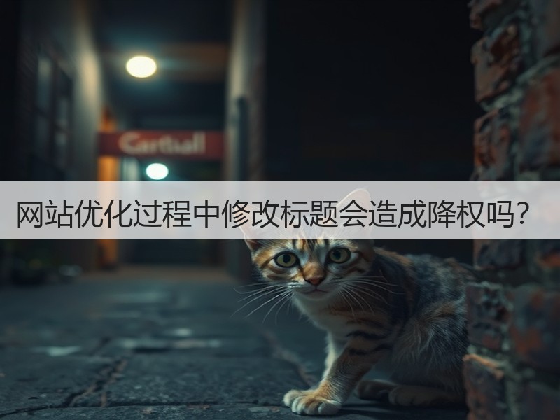 网站优化过程中修改标题会造成降权吗？(图1)
