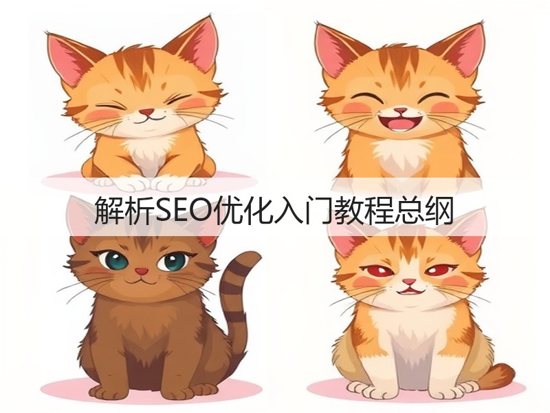 解析SEO优化入门教程总纲(图3) 解析SEO优化入门教程总纲(图3)