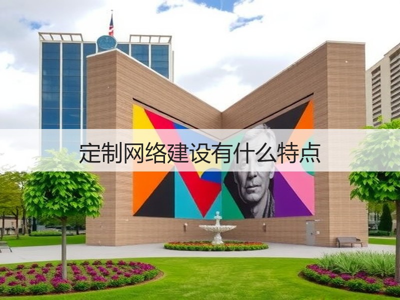 定制网络建设有什么特点(图2)