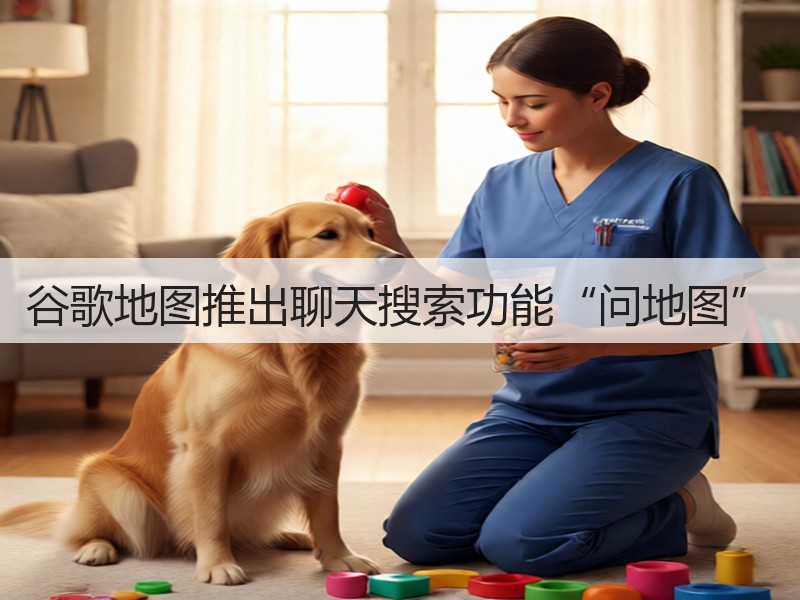 谷歌地图推出聊天搜索功能“问地图”(图2)