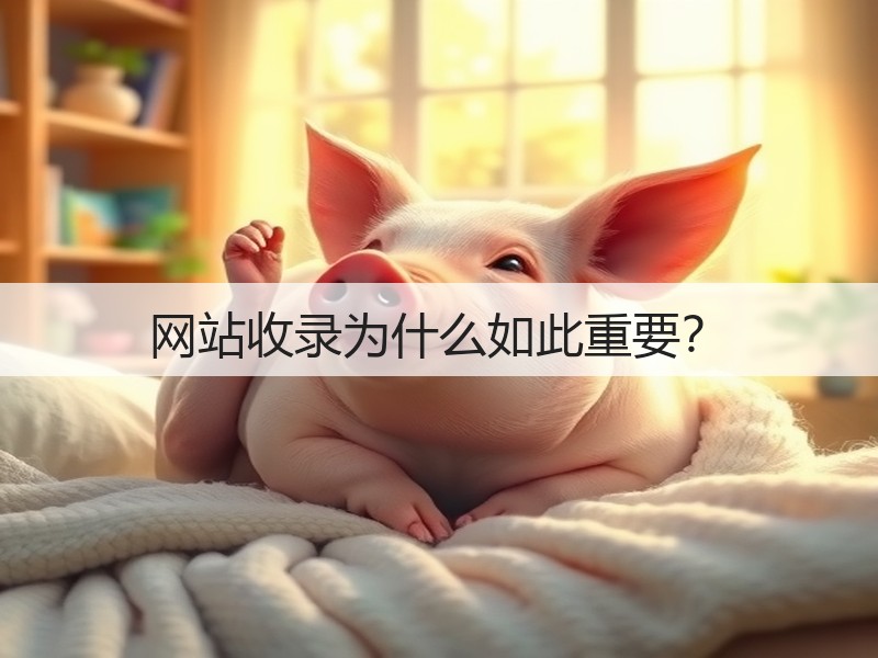 网站收录为什么如此重要?(图3) 网站收录为什么如此重要?(图3)
