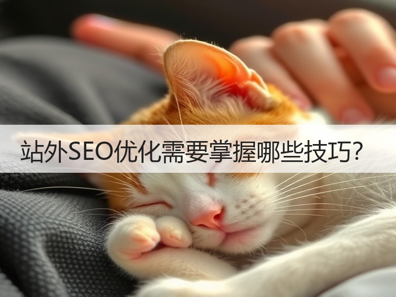 站外SEO优化需要掌握哪些技巧？