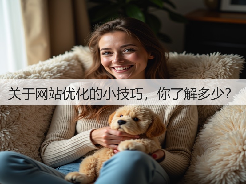 关于网站优化的小技巧,你了解多少?(图2) 关于网站优化的小技巧,你了解多少?(图2)