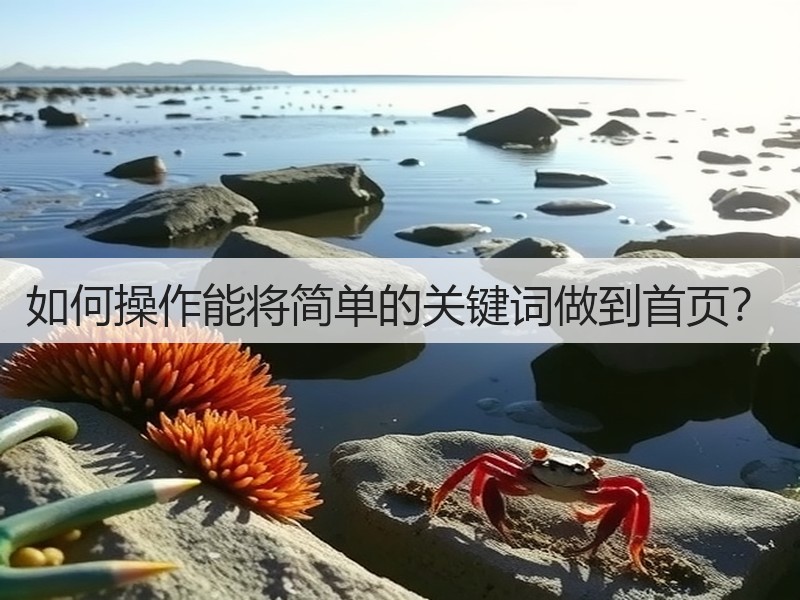 如何操作能将简单的关键词做到首页?(图2) 如何操作能将简单的关键词做到首页?(图2)