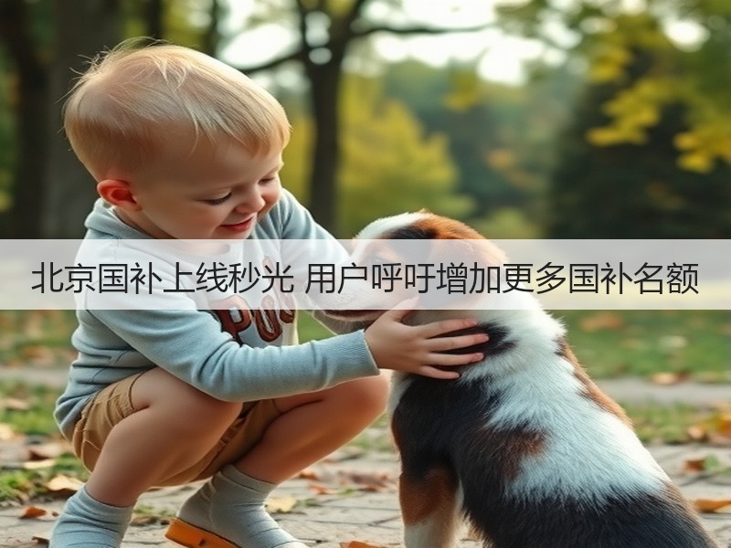 北京国补上线秒光 用户呼吁增加更多国补名额(图2) 北京国补上线秒光 用户呼吁增加更多国补名额(图2)