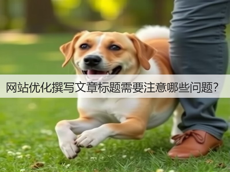网站优化撰写文章标题需要注意哪些问题?(图1) 网站优化撰写文章标题需要注意哪些问题?(图1)