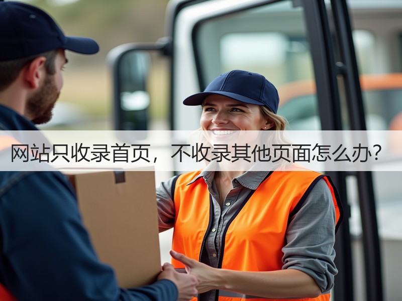 网站只收录首页，不收录其他页面怎么办？(图2)