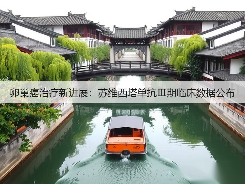 卵巢癌治疗新进展：苏维西塔单抗Ⅲ期临床数据公布(图2)