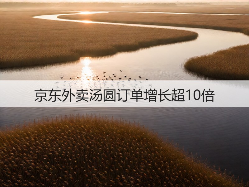 京东外卖汤圆订单增长超10倍(图2)