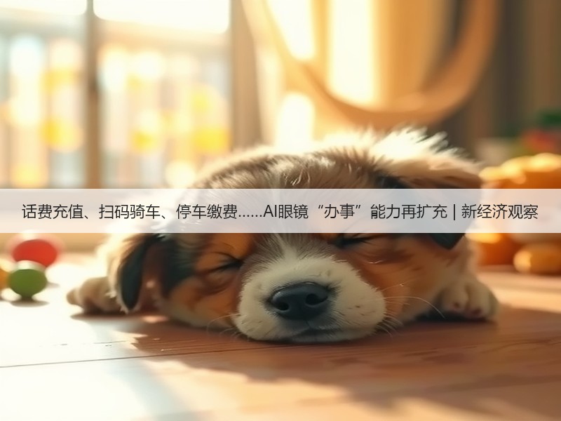 话费充值、扫码骑车、停车缴费……AI眼镜“办事”能力再扩充 | 新经济观察(图3) 话费充值、扫码骑车、停车缴费……AI眼镜“办事”能力再扩充 | 新经济观察(图3)