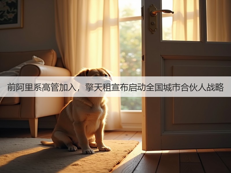 前阿里系高管加入，擎天租宣布启动全国城市合伙人战略(图3)