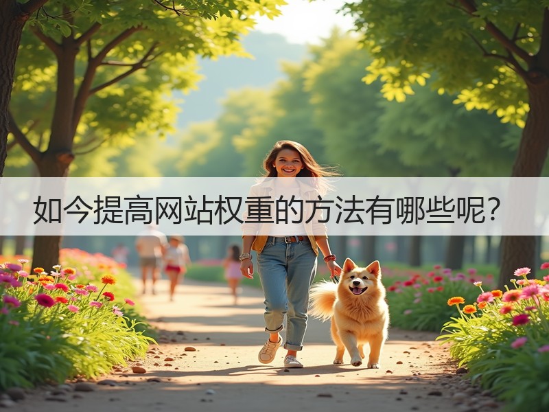如今提高网站权重的方法有哪些呢？(图3)