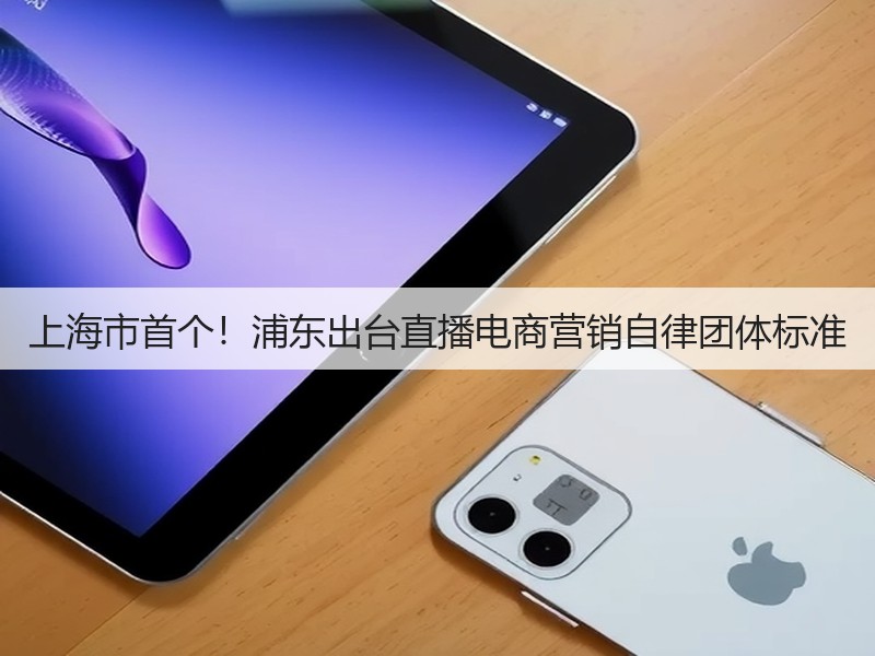 上海市首个！浦东出台直播电商营销自律团体标准(图2)