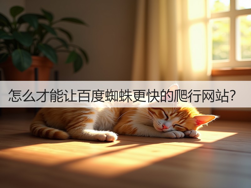怎么才能让百度蜘蛛更快的爬行网站？(图1)