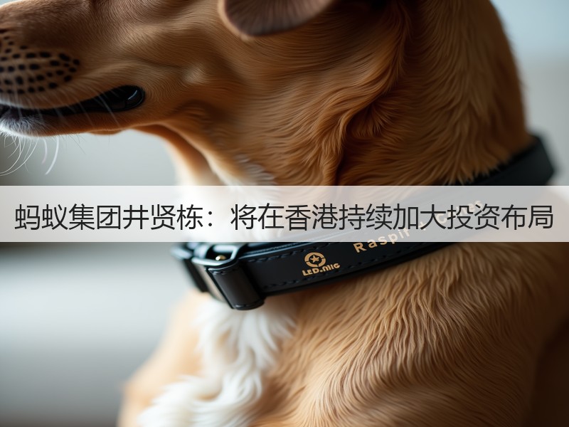 蚂蚁集团井贤栋:将在香港持续加大投资布局(图3) 蚂蚁集团井贤栋:将在香港持续加大投资布局(图3)