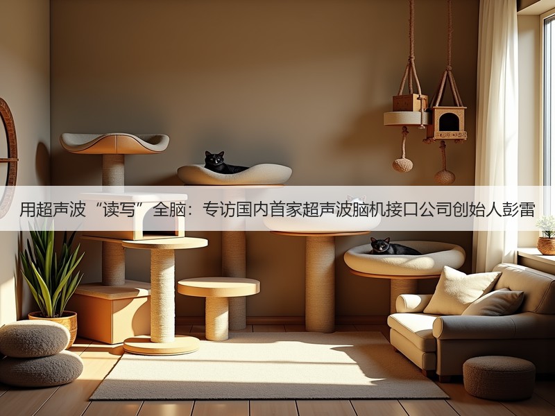 用超声波“读写”全脑：专访国内首家超声波脑机接口公司创始人彭雷(图3)