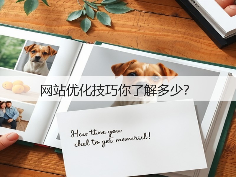 网站优化技巧你了解多少?(图1) 网站优化技巧你了解多少?(图1)