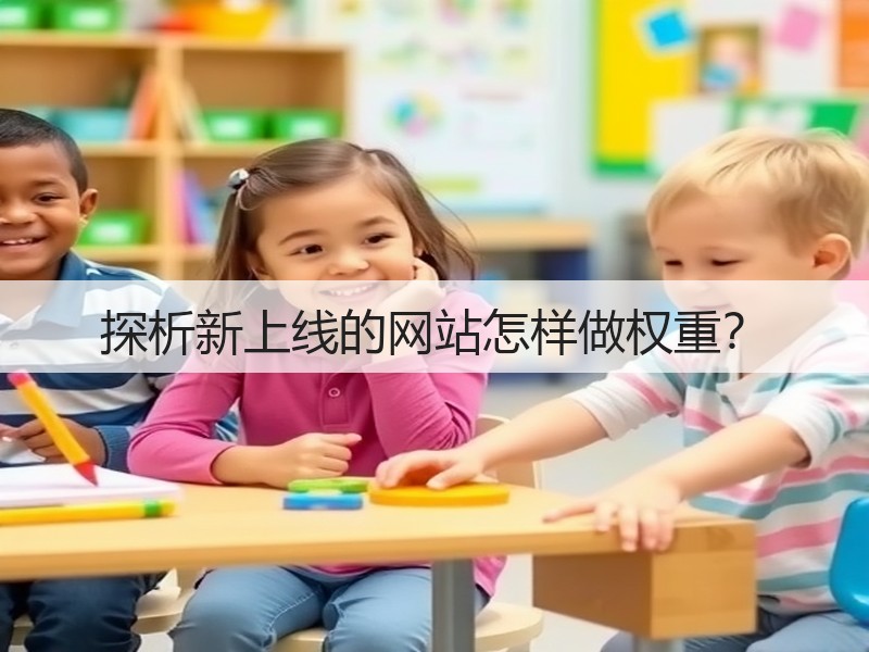 探析新上线的网站怎样做权重？(图2)