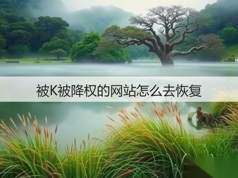 被K被降权的网站怎么去恢复(图3) 被K被降权的网站怎么去恢复(图3)