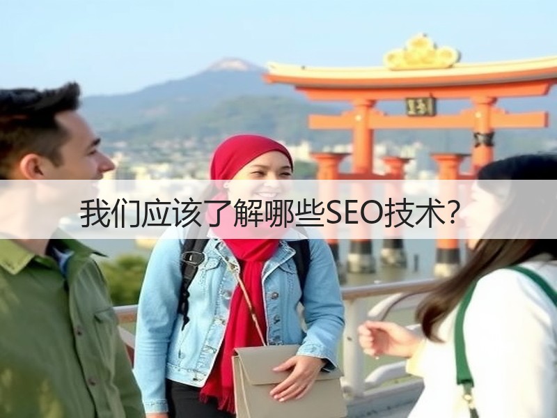我们应该了解哪些SEO技术？(图3)