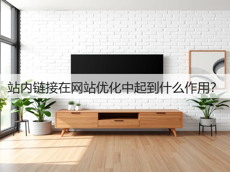 站内链接在网站优化中起到什么作用？(图2)