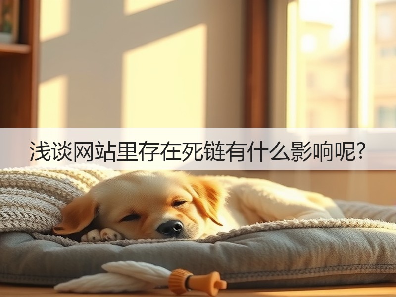 浅谈网站里存在死链有什么影响呢?(图3)
